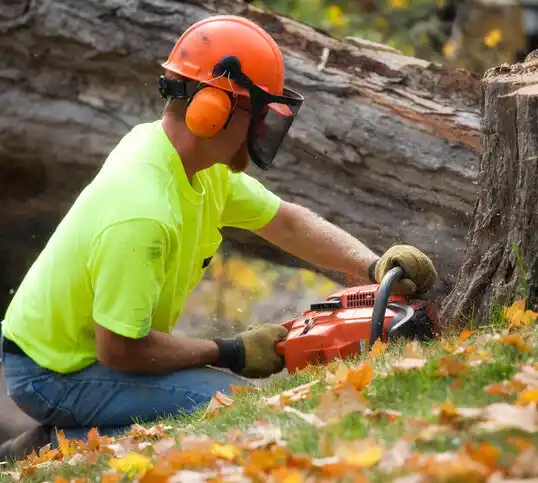 tree services Holdrege